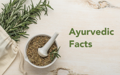 What Are The 6 Qualities Of Ayurvedis Medicine?