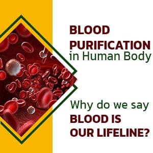 Blood Purification in Human Body – Why do we say Blood is our Lifeline?