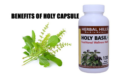 Tulsi Capsule – Holy Basil – Traditional Wellness Herb